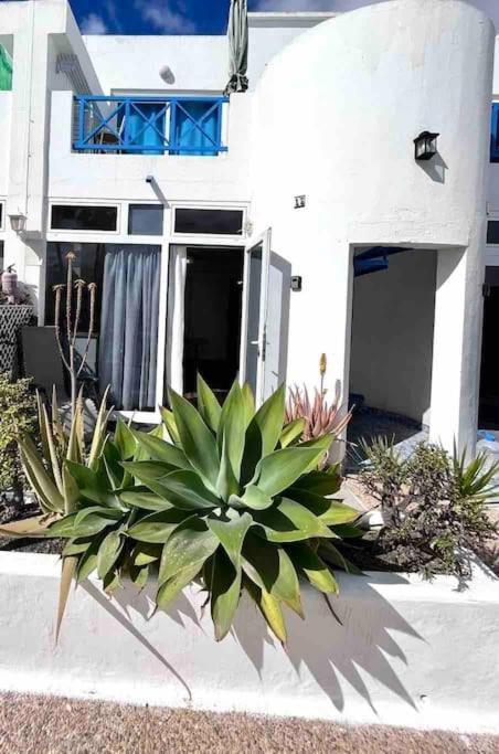 Апартаменты 17 Puerto Del Carmen Blueshark Экстерьер фото